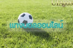 ทางเข้าเว็บบอลราคาดี